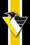 Pittsburgh Penguins