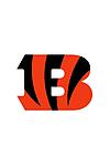 Cincinnati Bengals