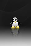 Linux Penguin