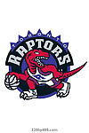 Toronto Raptors