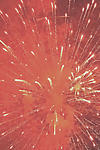 Red Fireworks