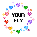 Your fly