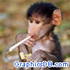 monkey with joint