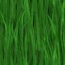 Blurry Long Grass