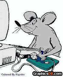 man mouse