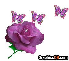 purple rose butterfly