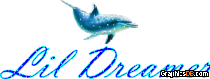 lil dreamer dolphin