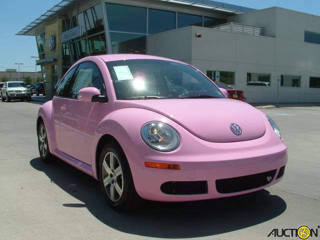 pink bug