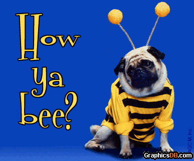 How ya bee