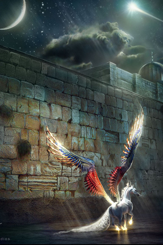 Night Pegasus iPhone Wallpaper