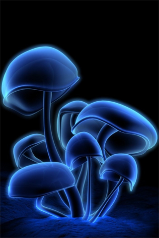 Neon Mushrooms Cellphone Wallpaper