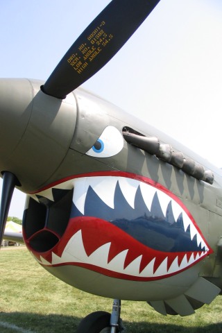 P 40 Warhawk