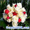 white red roses
