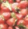 light strawberries