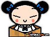 pucca