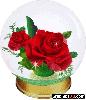 Rose snow globe