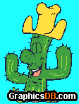 cactus arrow