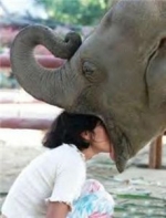 elephant eating woman-11973