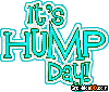 It s Hump Day