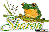 Sharon Frog