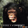 good morning ape