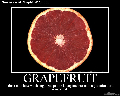 grapefruit