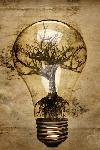 Dryness Light Bulb iPhone Wallpaper
