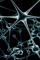 Neurons iPhone Wallpaper
