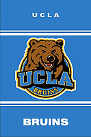 UCLA iPhone Wallpaper