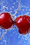 Soaked Cherries