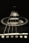 Guitar Strings