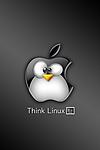 Think Linux