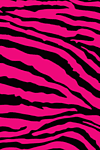 Hot Pink and Black Zebra