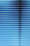 Window Blinds