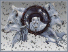 Wolf Desktop Background